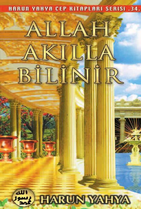 Allah Akılla Bilinir - Cep Kitabı
